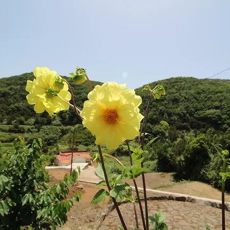 Casas Medina * Agulo